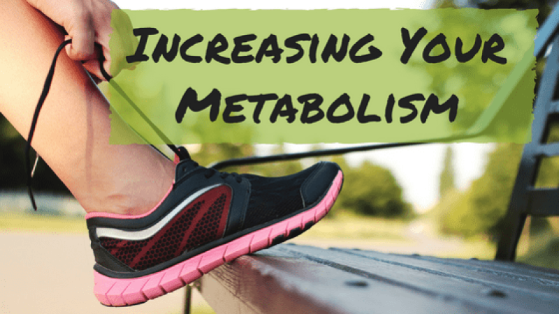 Increasing Your Metabolism