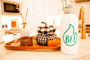 BFF Insulated Orca Hydra Jug - Image 4